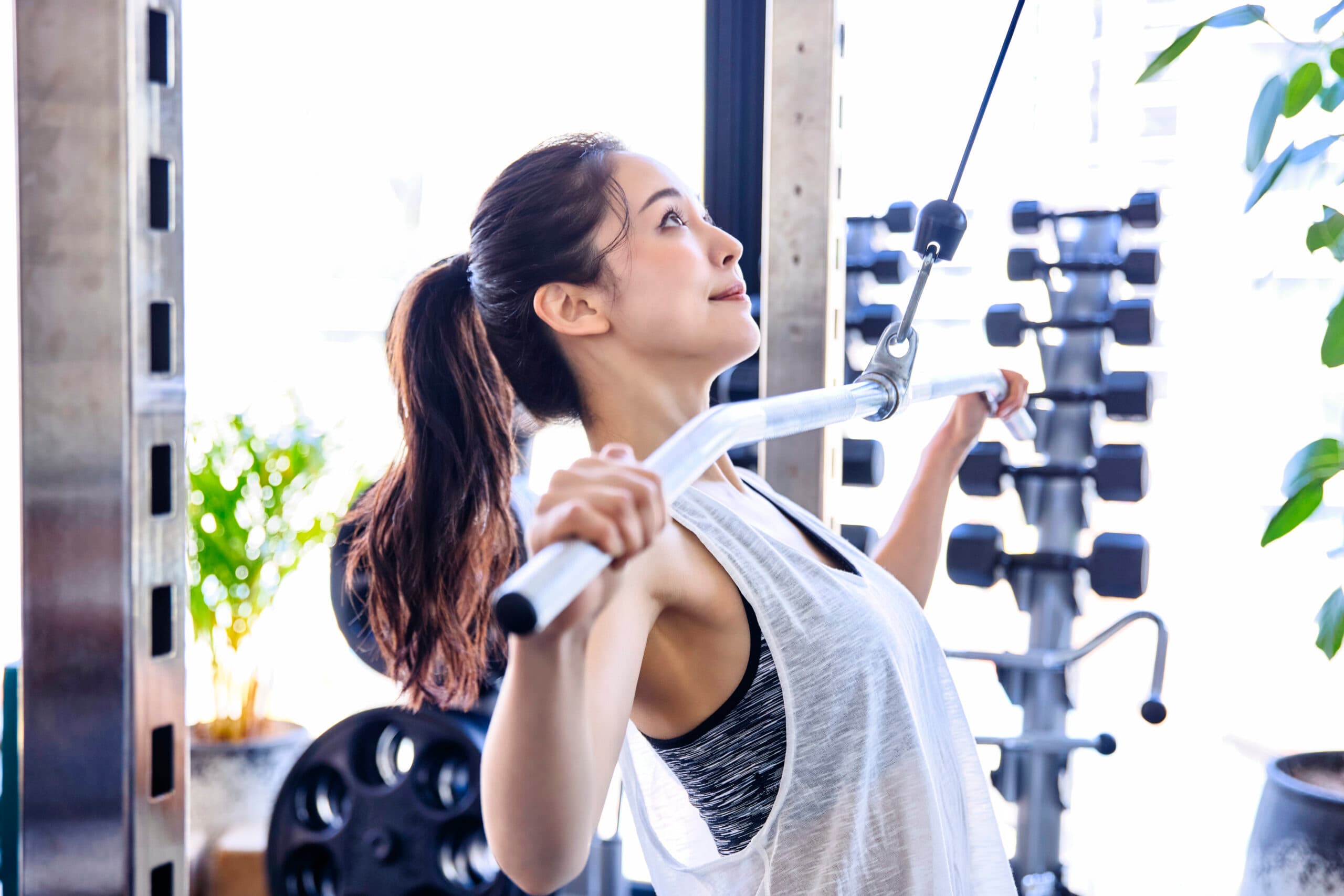 ライフフィット